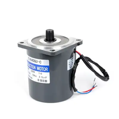 3W AC Induction Gear Motor