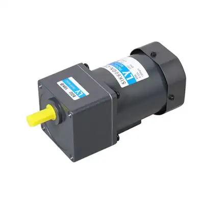 3W AC Induction Gear Motor