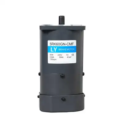 25W AC Induction Gear Motor