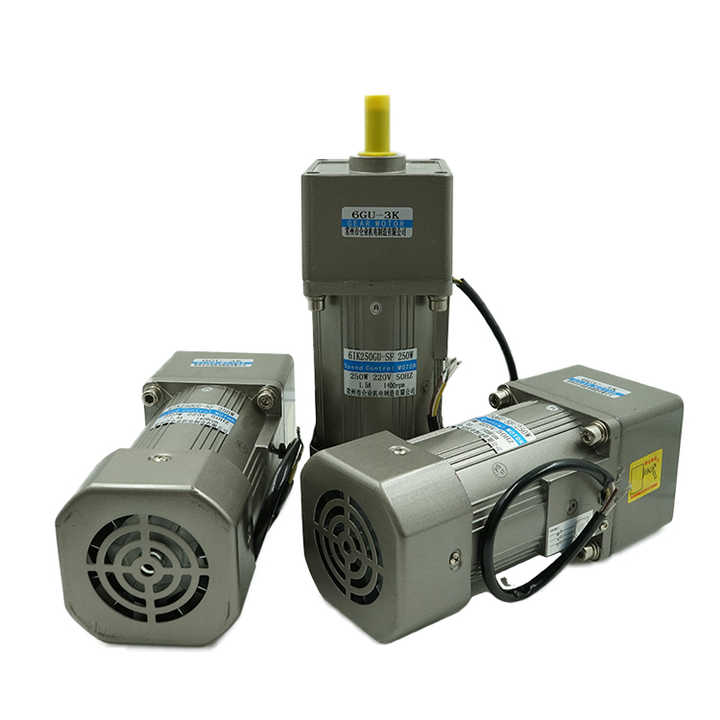 6W AC Induction Gear Motor