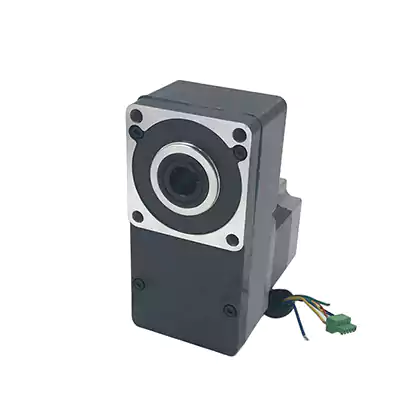 15W Brush DC Gear Motor