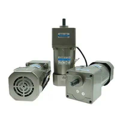 6W AC Induction Gear Motor