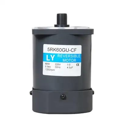 25W AC Induction Gear Motor