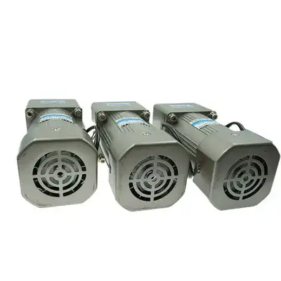 6W AC Induction Gear Motor