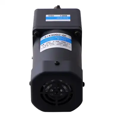 120W AC Induction Motor with Gear