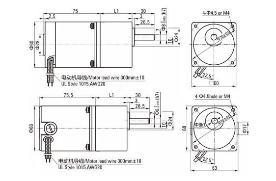 6W Brush DC Gear Motor