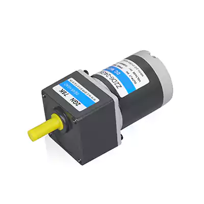 6W Brush DC Gear Motor