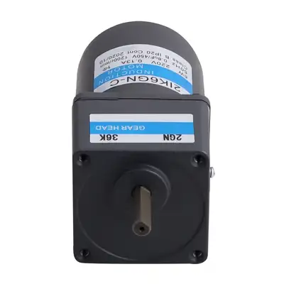 120W AC Induction Motor with Gear