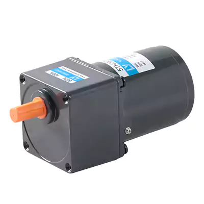 20W Micro AC Low RPM High Torque Motor