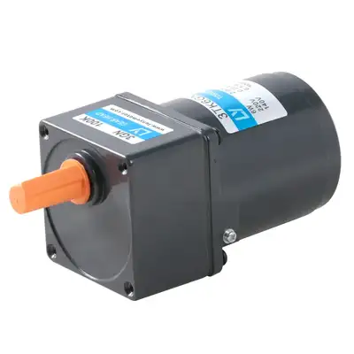 6W Micro AC Low RPM High Torque Motor