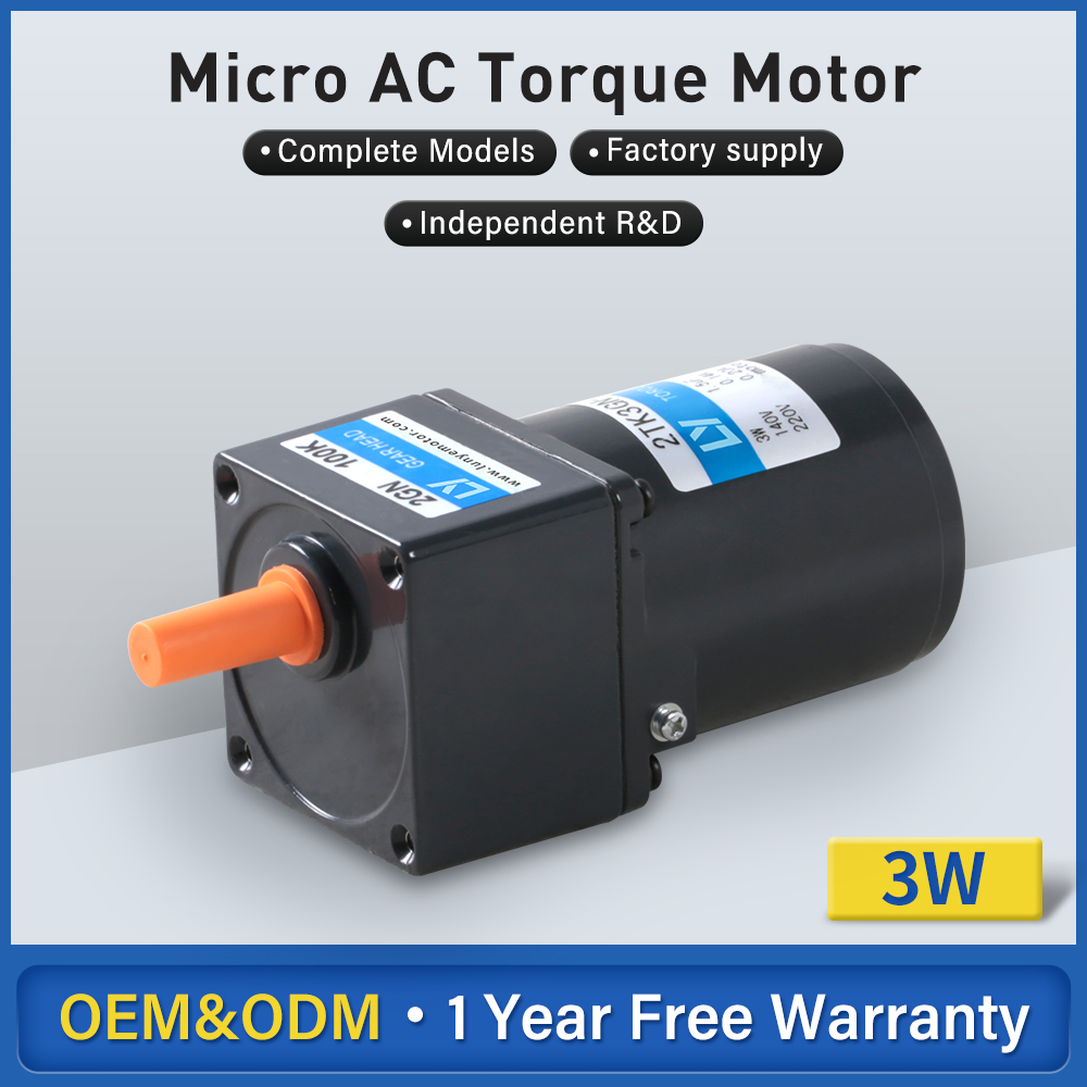 3W Micro AC Low RPM High Torque Motor