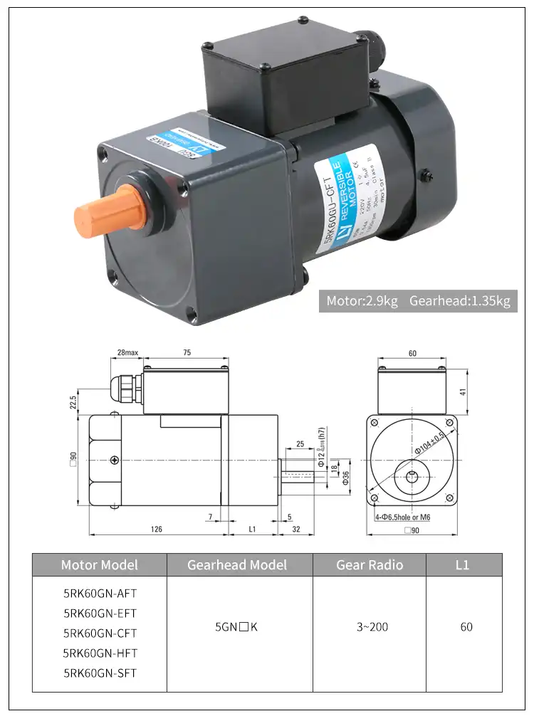 60W 1phase Small Gear AC Motor with Terminal Box