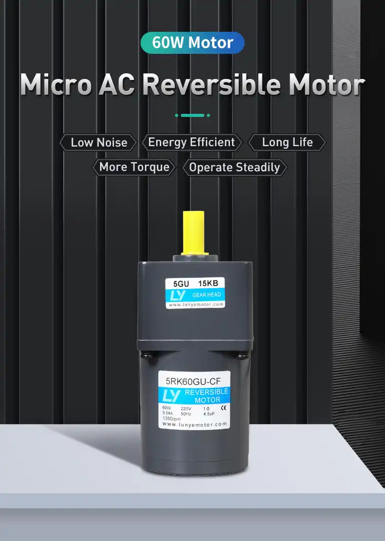 60W 1phase Small Gear AC Motor with Terminal Box
