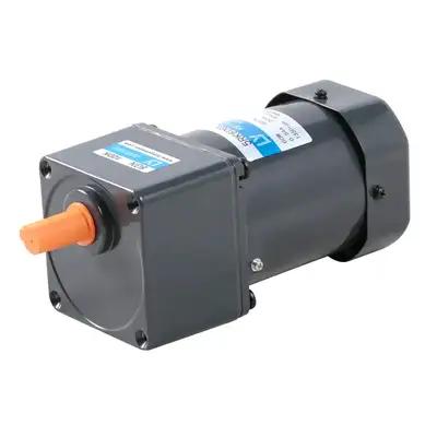 60W 1phase Small Gear AC Motor with Terminal Box