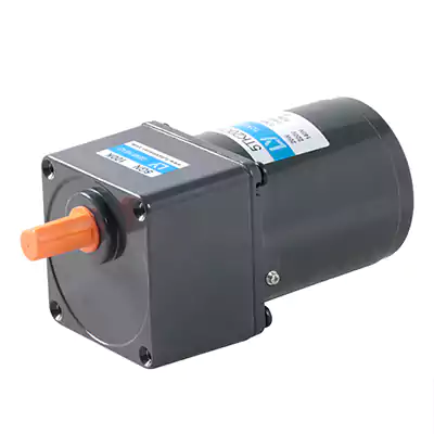 20W Micro AC Low RPM High Torque Motor