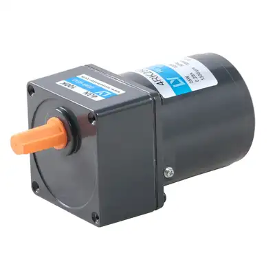 25W Single Phase AC Gear Motor