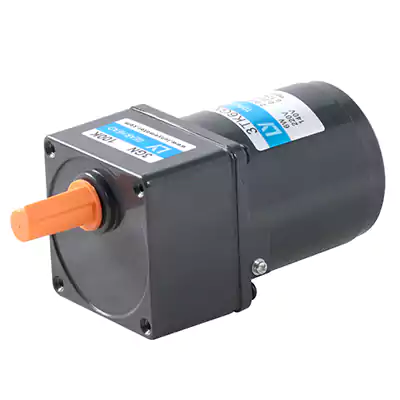 6W Micro AC Low RPM High Torque Motor