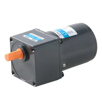 20W Micro AC Low RPM High Torque Motor