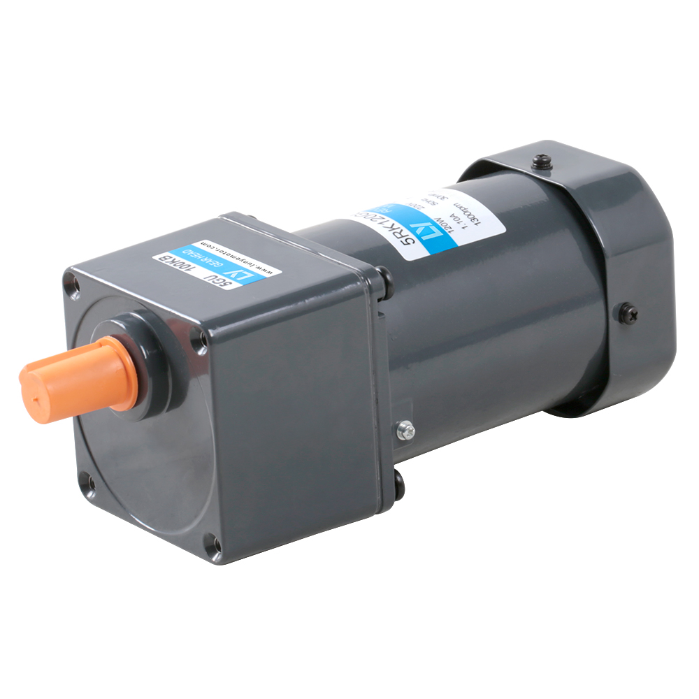 120W 1phase Micro AC Gear Motor