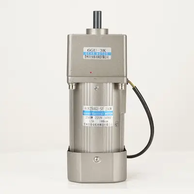 61mm AC Speed Control Motor