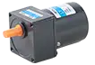 AC Electric Motor