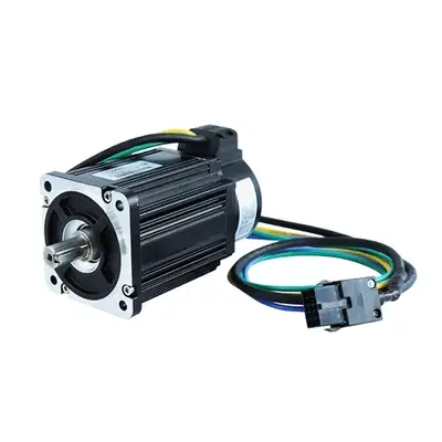 100W 24V 60mm DC Servo Motor