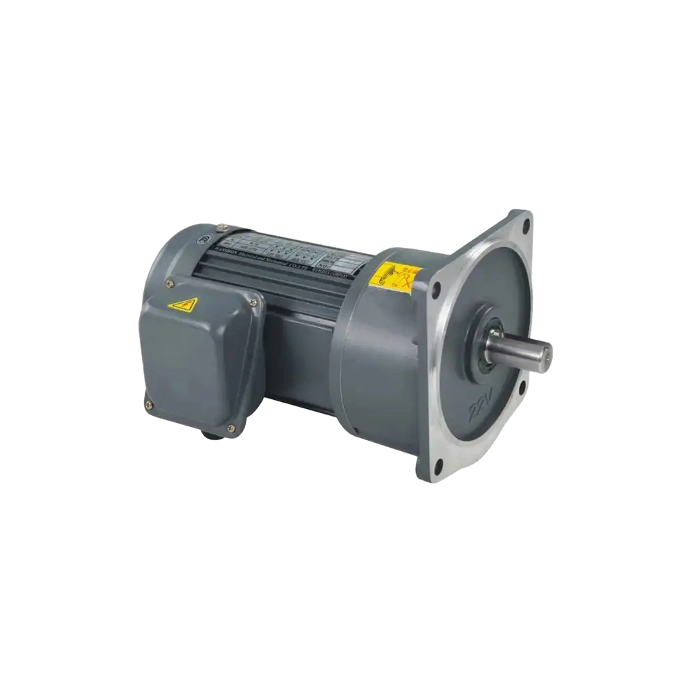 100W 380V Horizontal Vertical AC Gear Induction Motor