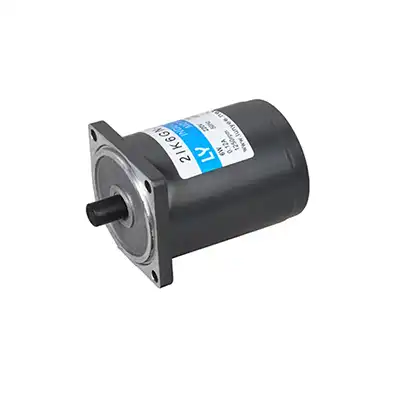 15W 110V 220V AC Small Gear Induction Reduction Motor with Speed Controller