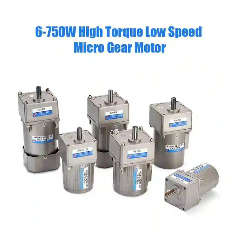 180-200W 120-380V Micro Worm Gear Induction Motor