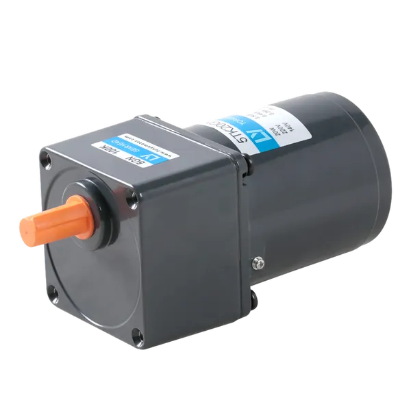 20W Micro AC Low RPM High Torque Motor