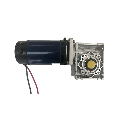 24V 700W 47Nm 3000rpm Dual Phase DC Motor with Gearbox