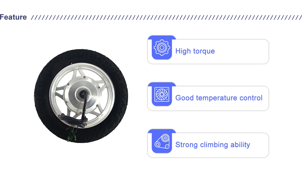 250-350W 24-48V 12Inch 20N.M Double Shaft Hub Motor