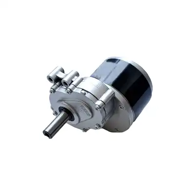 250W 24V 75rpm 120rpm 160rpm DC wheelchair motor