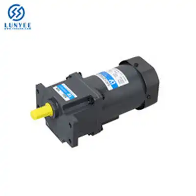 25W 12-24V 80mm mini ac induction motor