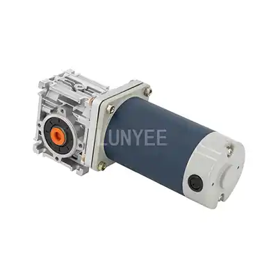 300-1500W 24-48V PMDC Worm Gear Motor 