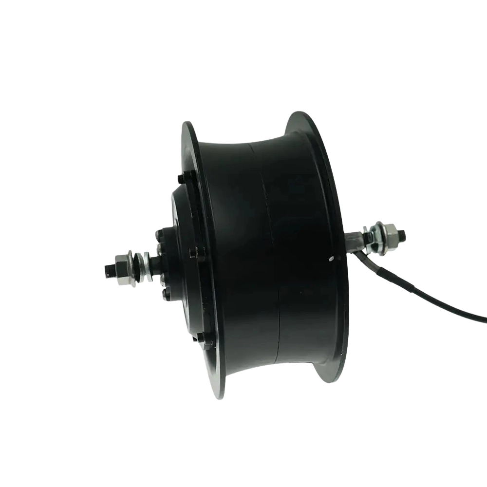 350-750W 24-48V 14Inch 6-10KM Per Hour 180N.m Double Shaft Hub Motor