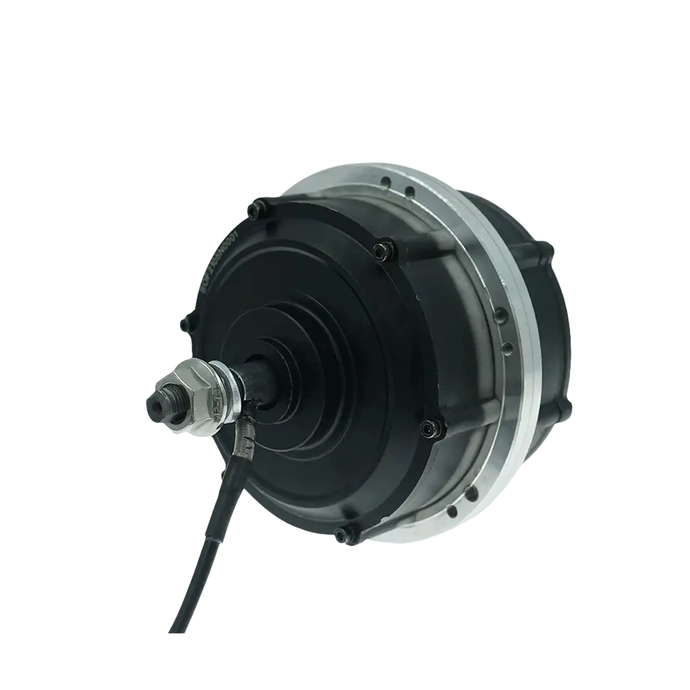 350-750W 24-48V 14Inch 6-10KM Per Hour 180N.m Double Shaft Hub Motor