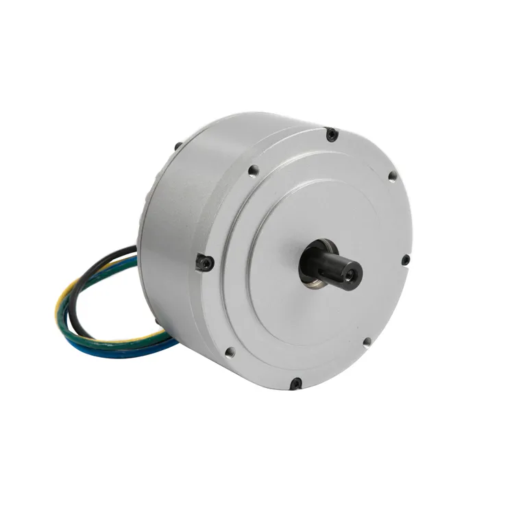 3kW Air Cooling BLDC Motor for Electric Vehicle