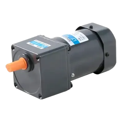 60W 1phase Small Gear AC Motor with Terminal Box