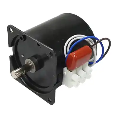 60W 220V Single phase AC synchronous motor