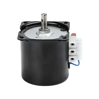 60W 220V Single phase AC synchronous motor