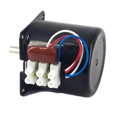 60W 220V Single phase AC synchronous motor