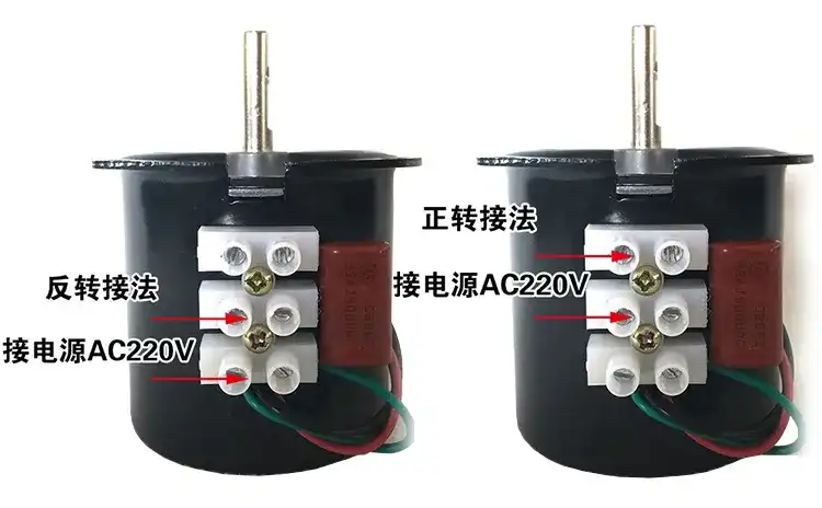 60W 220V Single phase AC synchronous motor