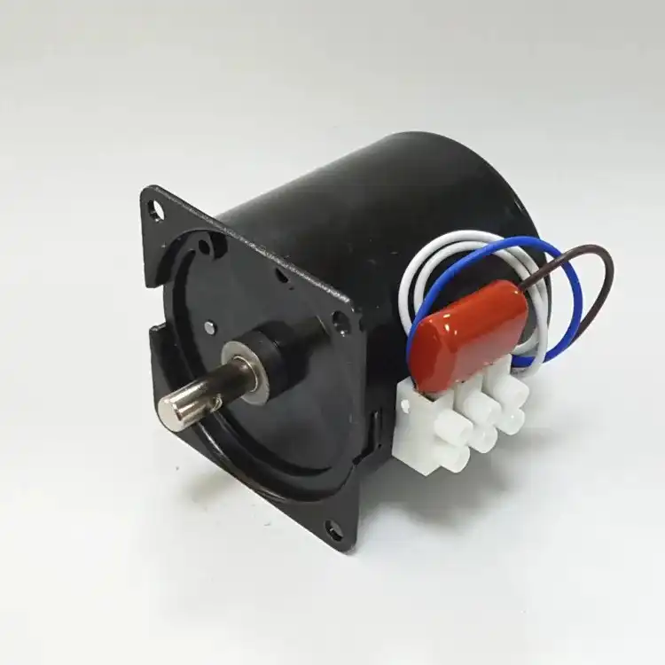 60W 220V Single phase AC synchronous motor