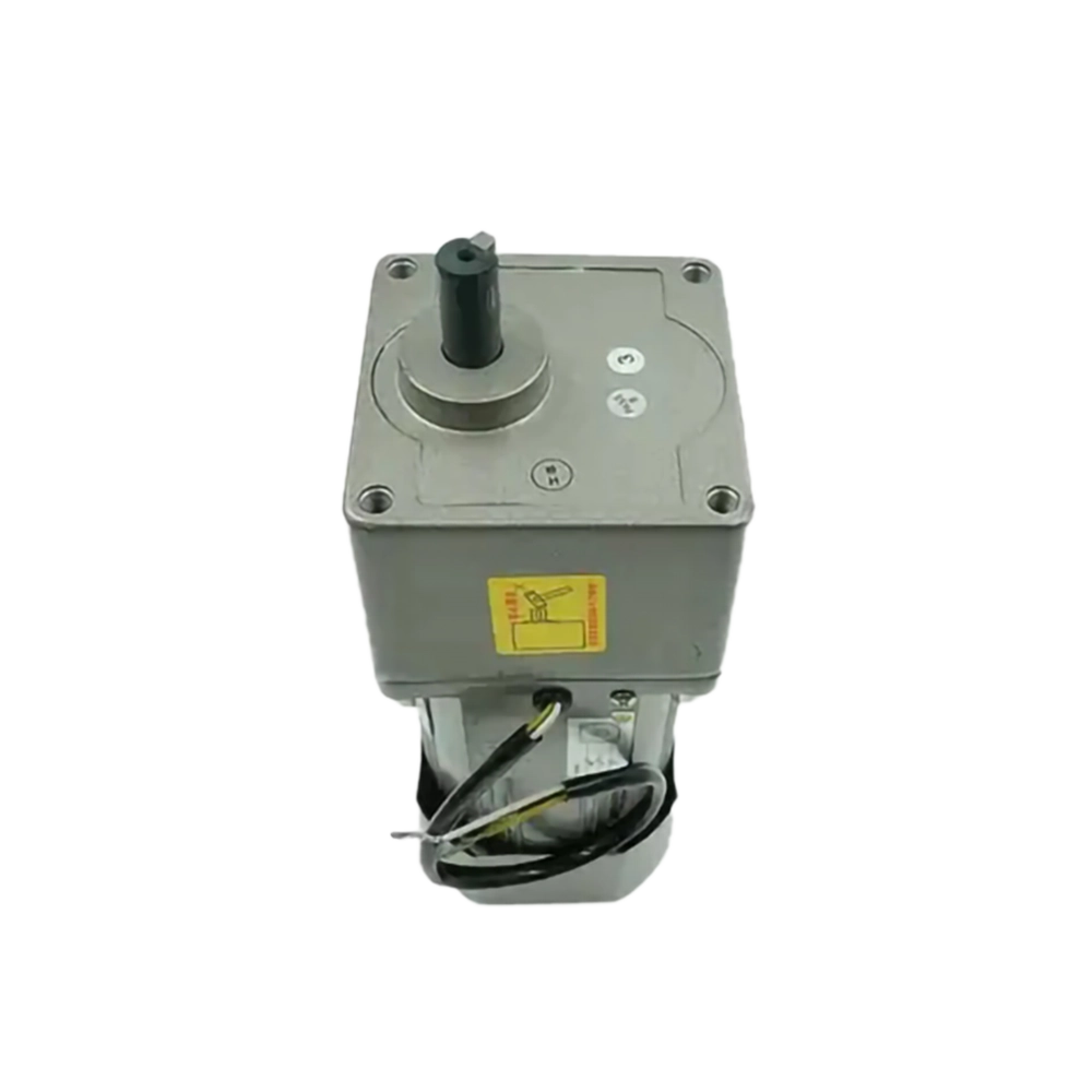 6W AC Induction Gear Motor