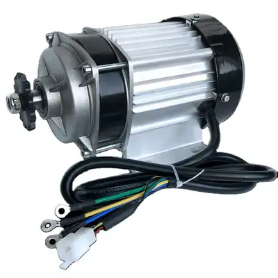 550W 800W 1000W 48V 60V Brushless Motor