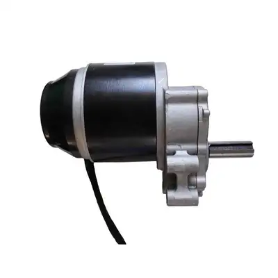 20Nm Wheelchair 12V 24V Geared DC Motor