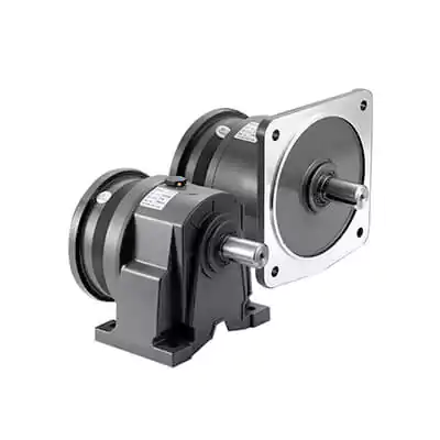 220V 230V AC Single Phase Vertical Gear Motor