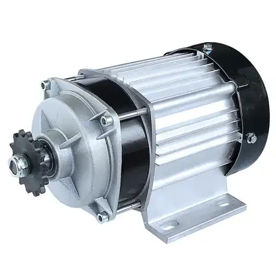 550W 800W 1000W 48V 60V Brushless Motor