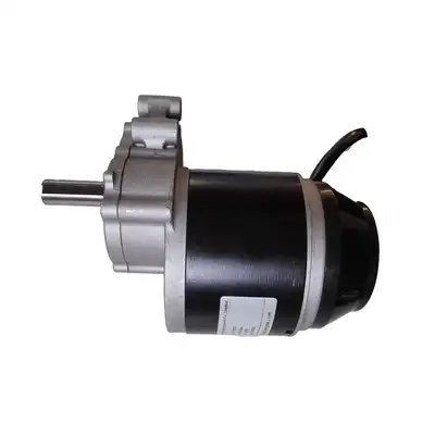 20Nm Wheelchair 12V 24V Geared DC Motor